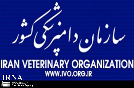 30 هزار رأس دام سبک در کاشمر واکسینه شدند