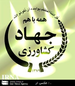 سوش مادری زنبور تریکوگراما در کاشمر تولید شد