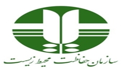 خبرگزاری فارس: دستگیری 5 متخلف شکار و آسیب دیدگی محیطبان کاشمری